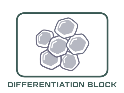 MOD Differentiation Block