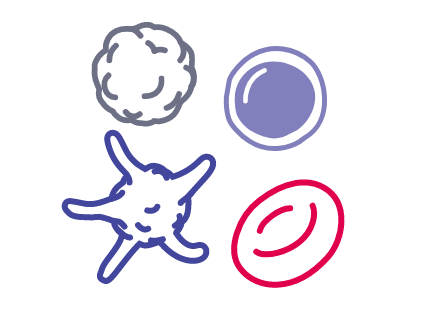 Revuforj® (revumenib) MOA Normal Cellular Differentiation